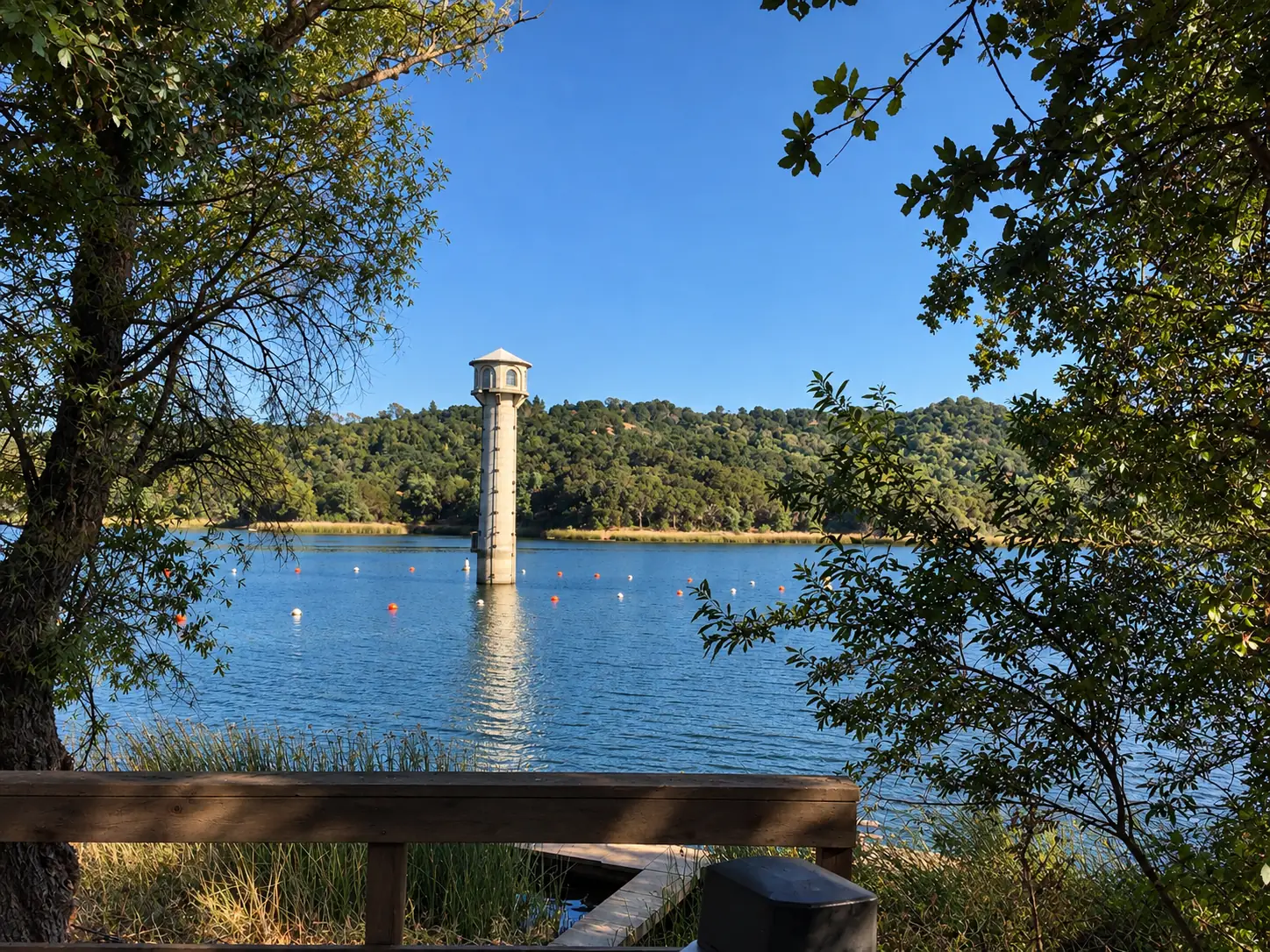 Property Management in Lafayette, CA